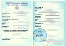 Свидетельство о рождении (по запросу)